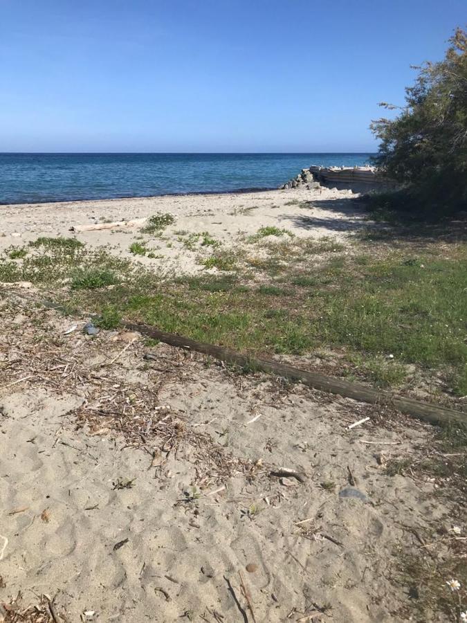 דירות סן-ניקולאו Corsica Studio Face A La Mer Moriani Plage מראה חיצוני תמונה